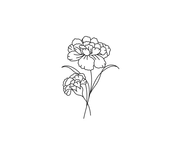 Dibujos para colorear e imprimir Carnation