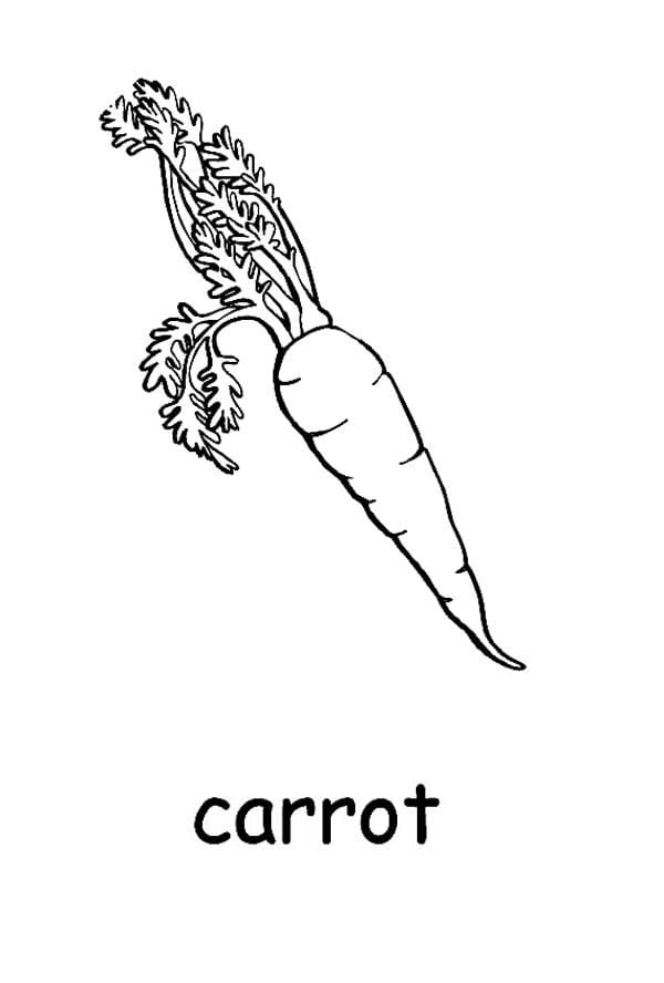 Dibujos para colorear e imprimir Carrot