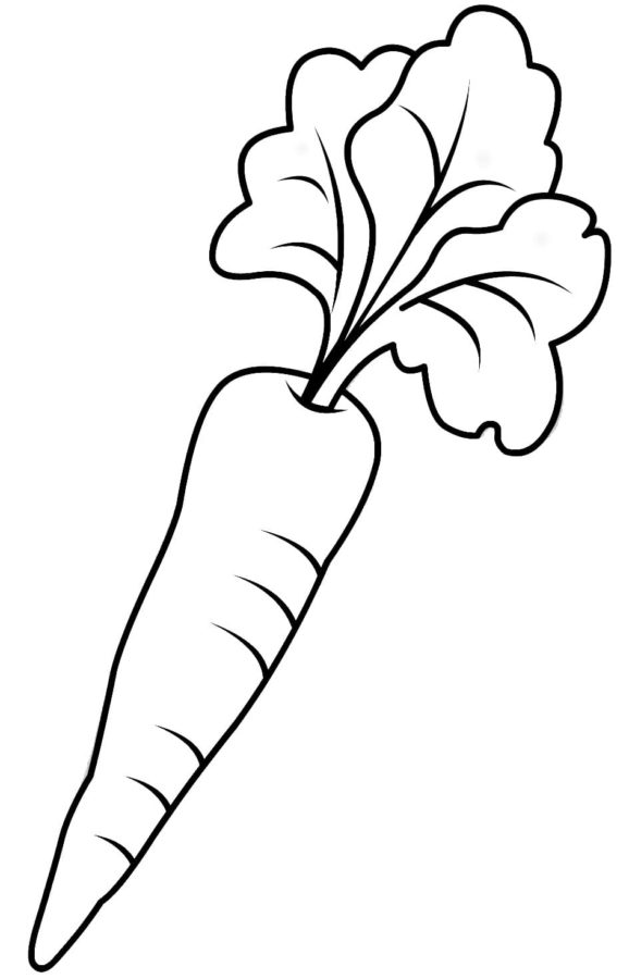 Dibujos para colorear e imprimir Carrot