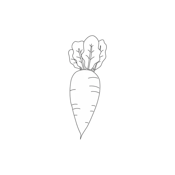 Dibujos para colorear e imprimir Carrot