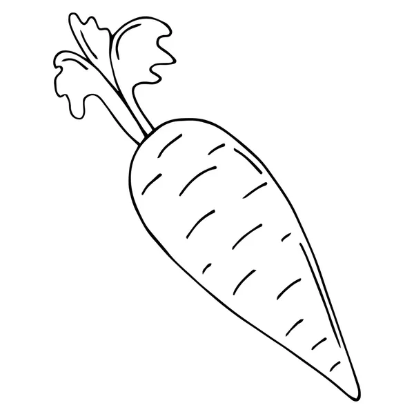 Dibujos para colorear e imprimir Carrot