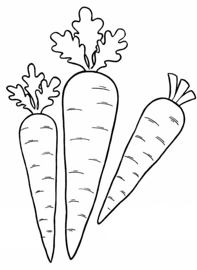 Dibujos para colorear e imprimir Carrot