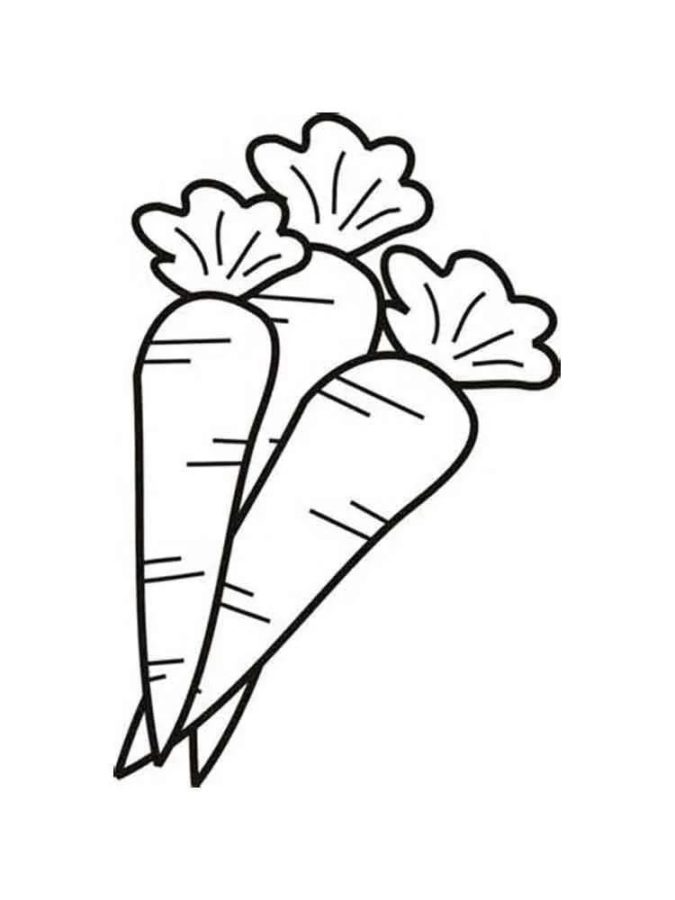 Dibujos para colorear e imprimir Carrot