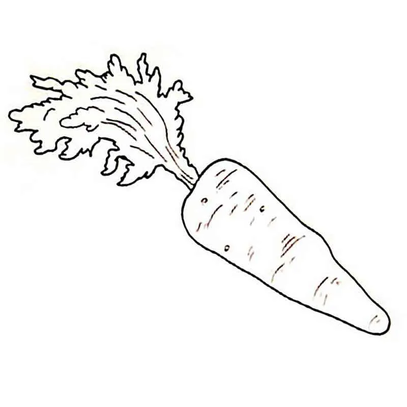 Dibujos para colorear e imprimir Carrot