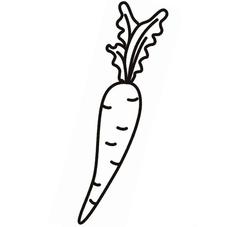 Dibujos para colorear e imprimir Carrot