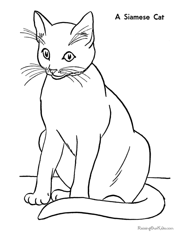 Dibujos para colorear e imprimir Cat