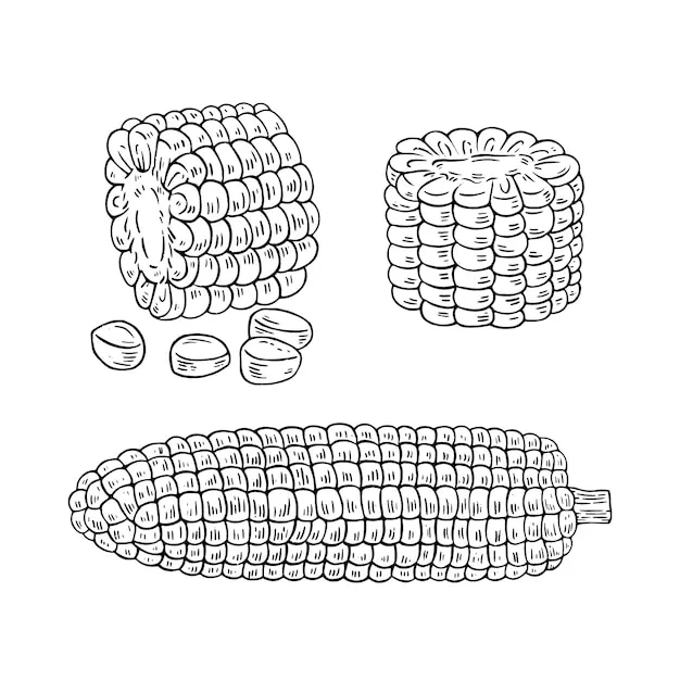 Dibujos para colorear e imprimir Corn