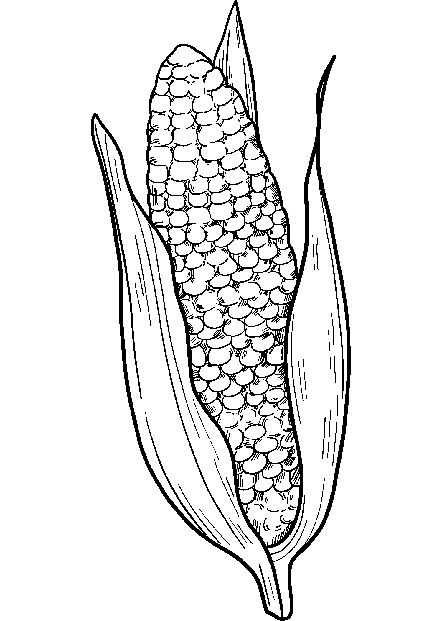 Dibujos para colorear e imprimir Corn