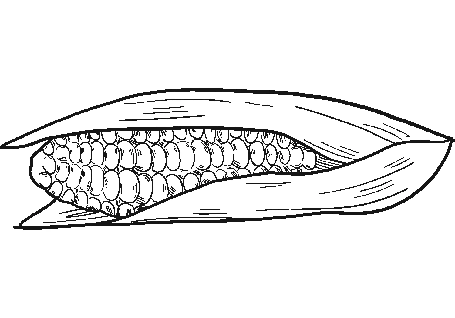 Dibujos para colorear e imprimir Corn