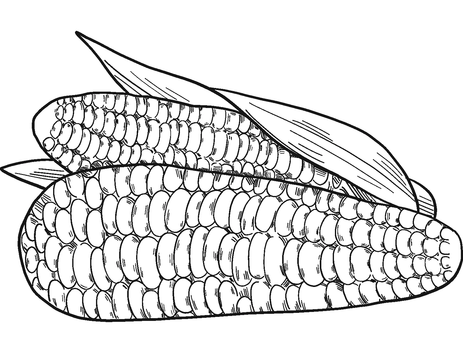 Dibujos para colorear e imprimir Corn