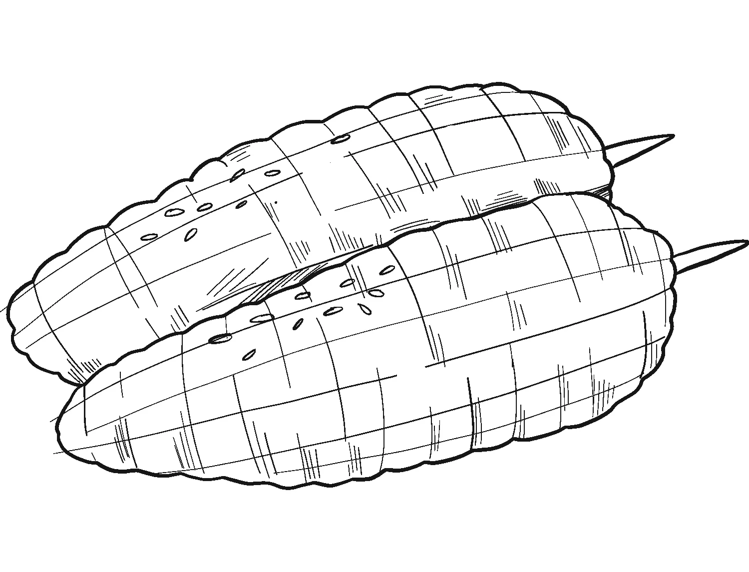 Dibujos para colorear e imprimir Corn