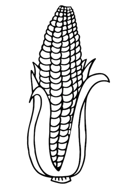 Dibujos para colorear e imprimir Corn