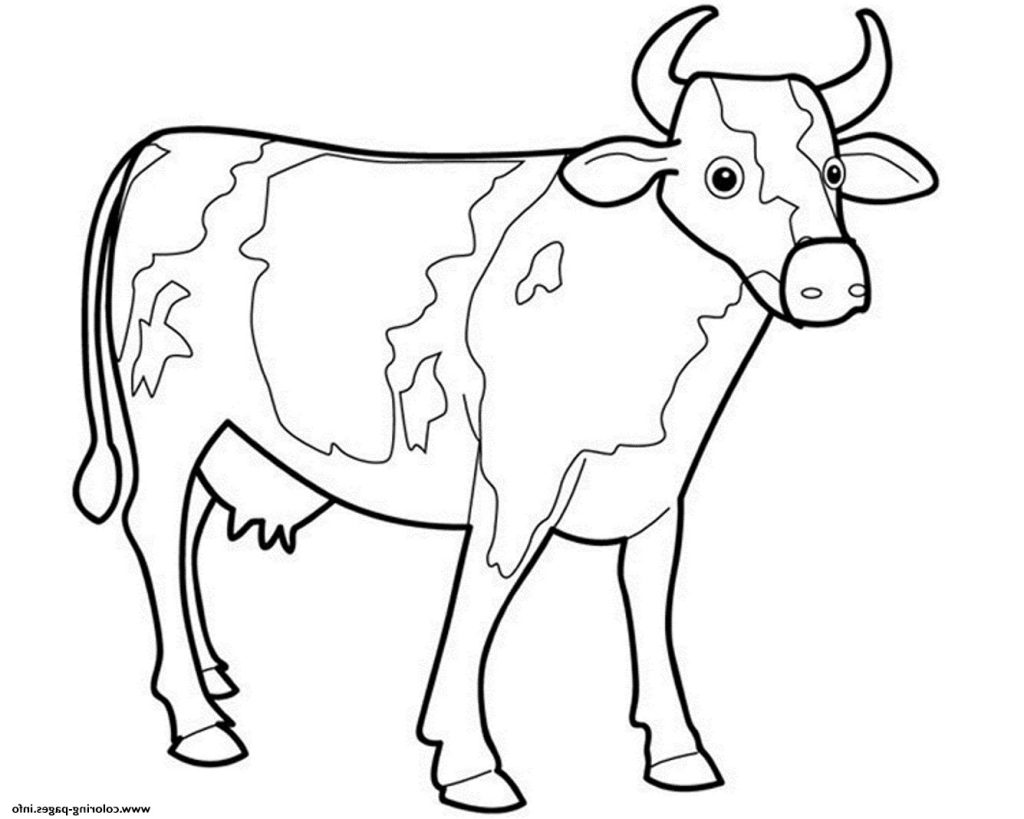 Cow coloring pages 12