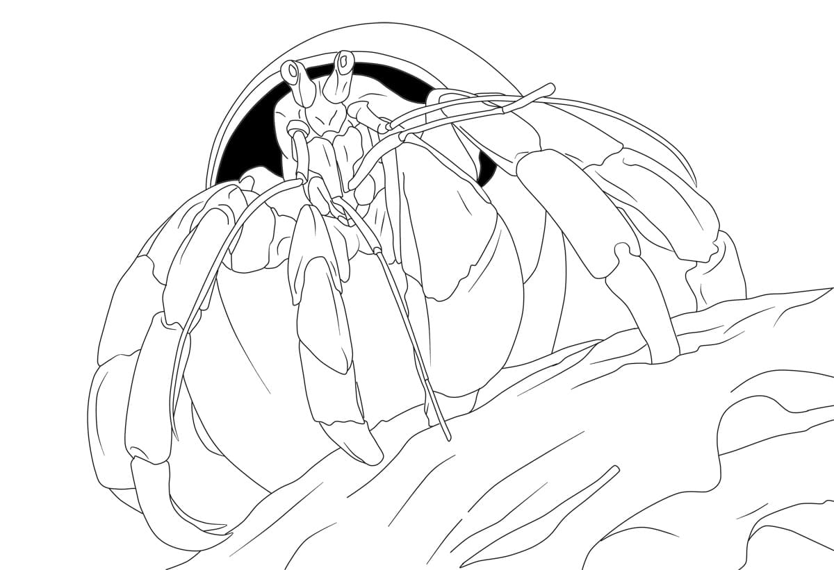 Dibujos para colorear e imprimir Crab