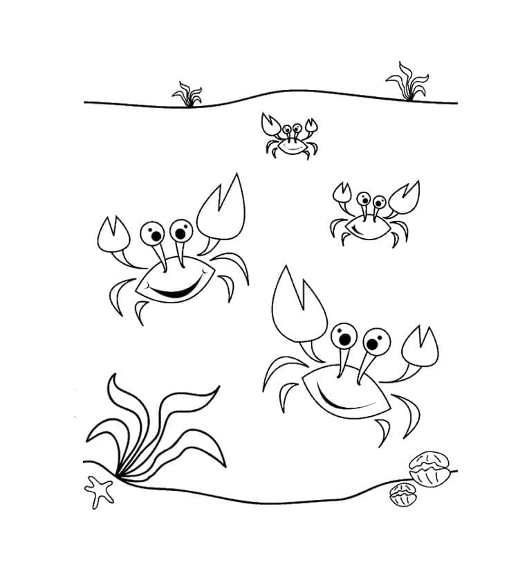 Dibujos para colorear e imprimir Crab