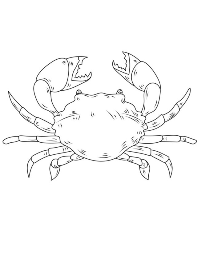 Dibujos para colorear e imprimir Crab