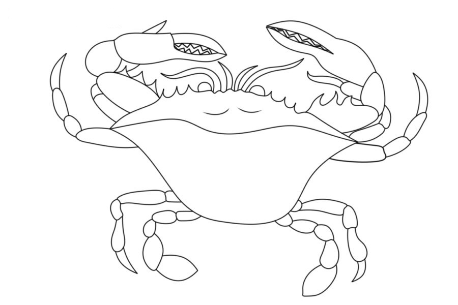 Dibujos para colorear e imprimir Crab