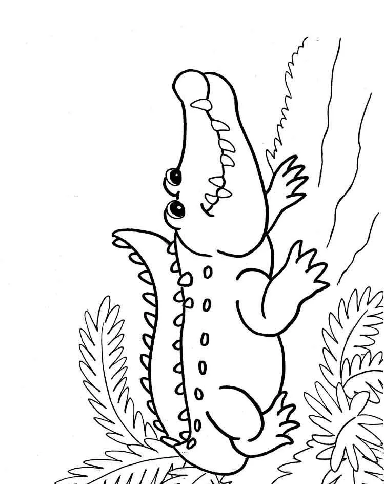 Dibujos para colorear e imprimir Crocodile