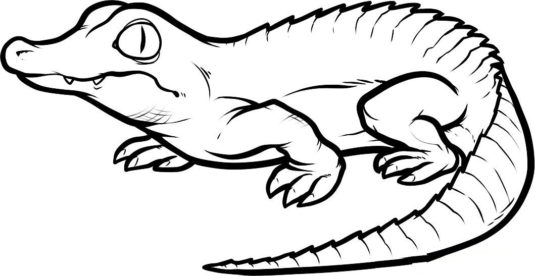 Dibujos para colorear e imprimir Crocodile