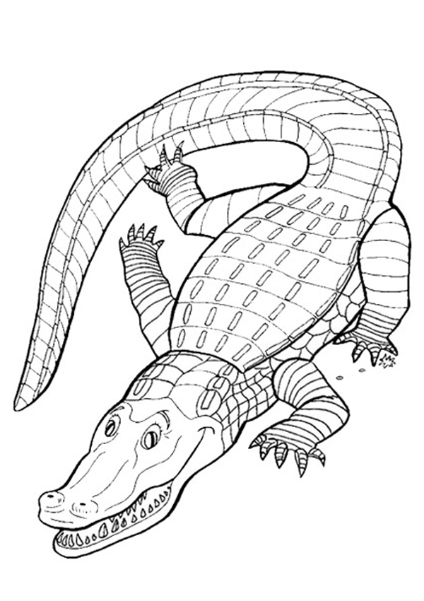 Dibujos para colorear e imprimir Crocodile