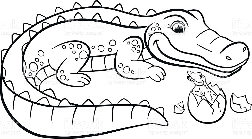 Dibujos para colorear e imprimir Crocodile