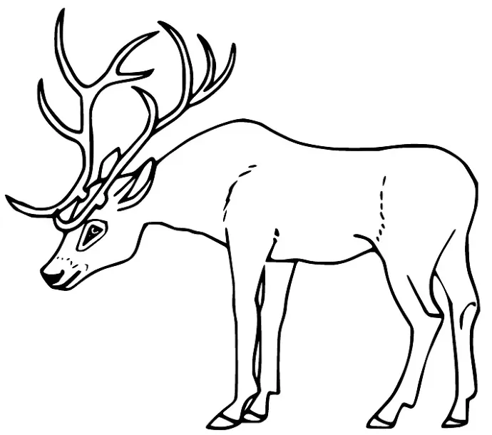 Dibujos para colorear e imprimir Deer