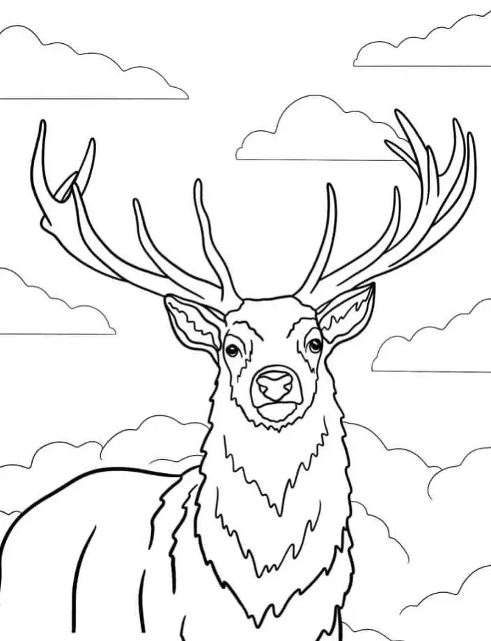 Dibujos para colorear e imprimir Deer