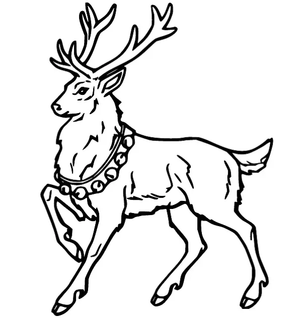 Dibujos para colorear e imprimir Deer