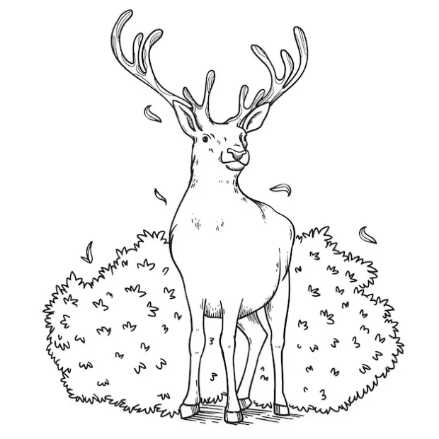 Dibujos para colorear e imprimir Deer