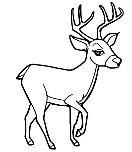 Dibujos para colorear e imprimir Deer