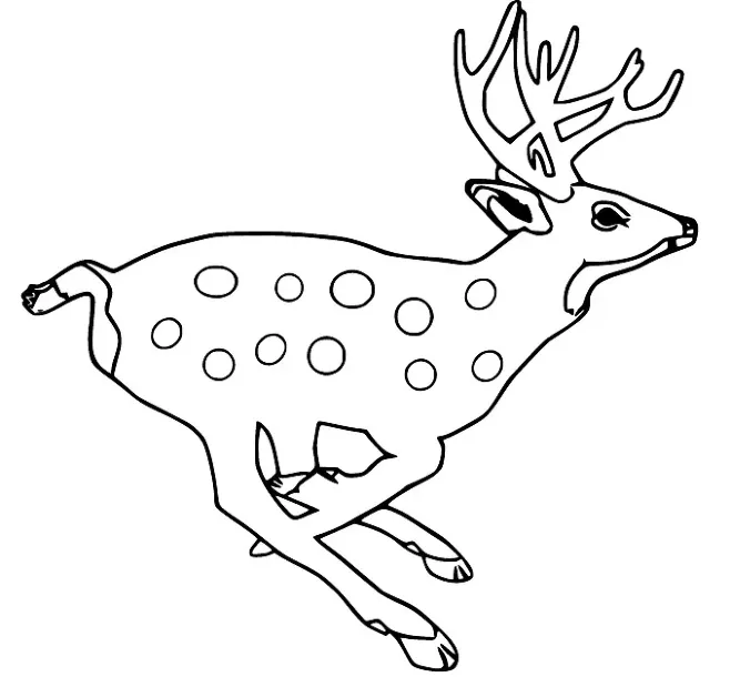 Dibujos para colorear e imprimir Deer