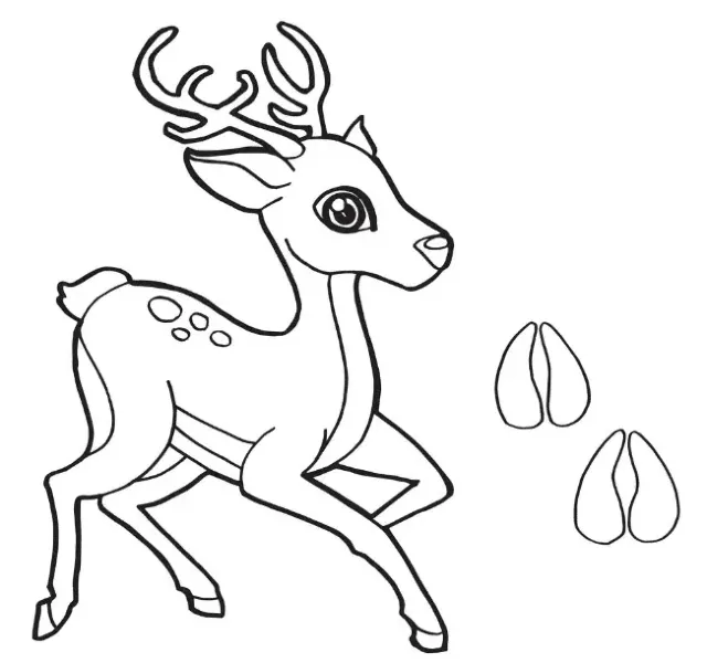 Dibujos para colorear e imprimir Deer