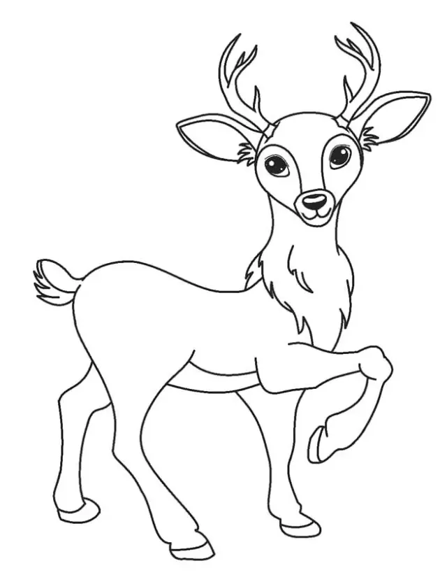 Dibujos para colorear e imprimir Deer