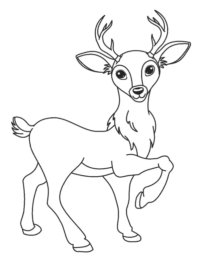 Dibujos para colorear e imprimir Deer