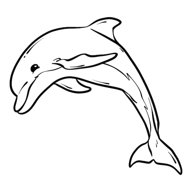 Dibujos para colorear e imprimir Dolphin