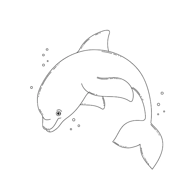 Dibujos para colorear e imprimir Dolphin