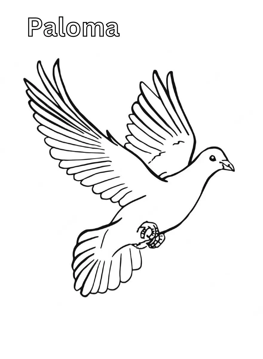 Dibujos para colorear e imprimir Dove