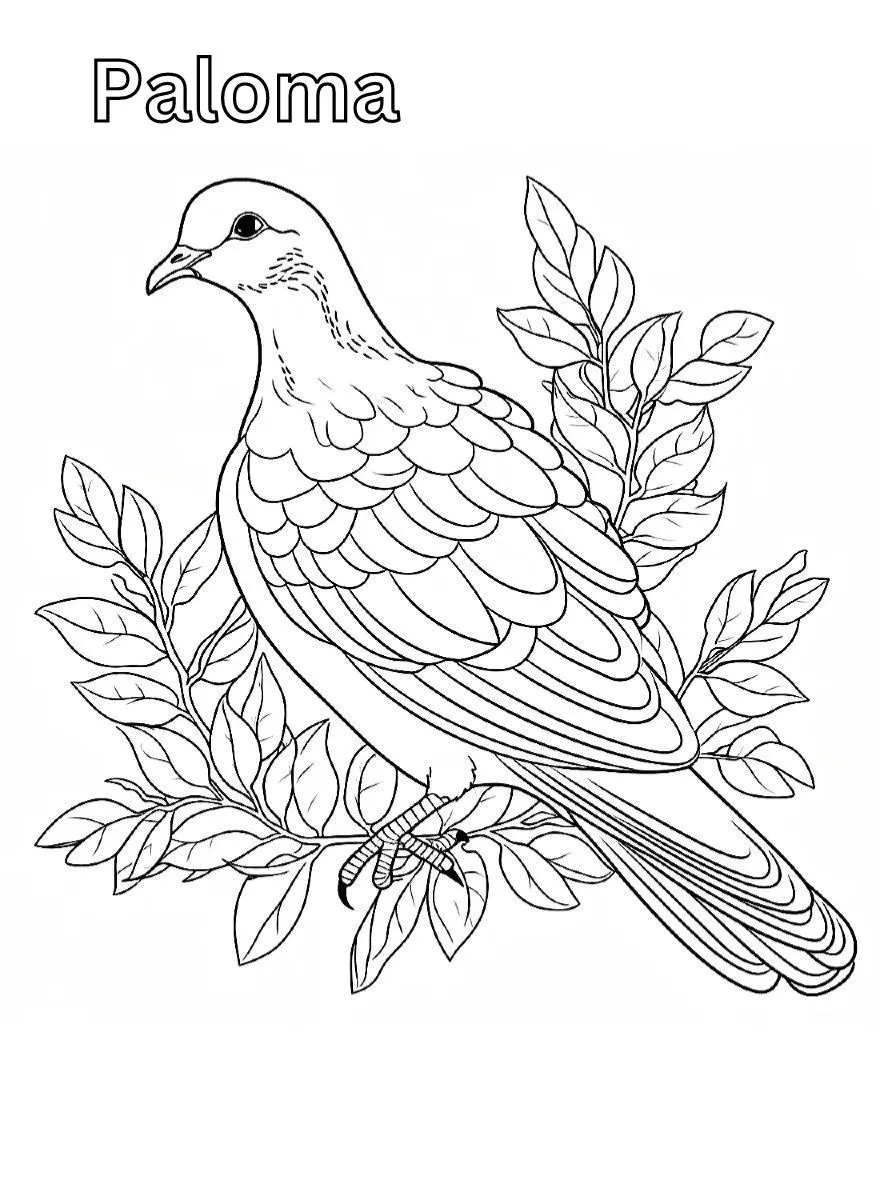 Dibujos para colorear e imprimir Dove