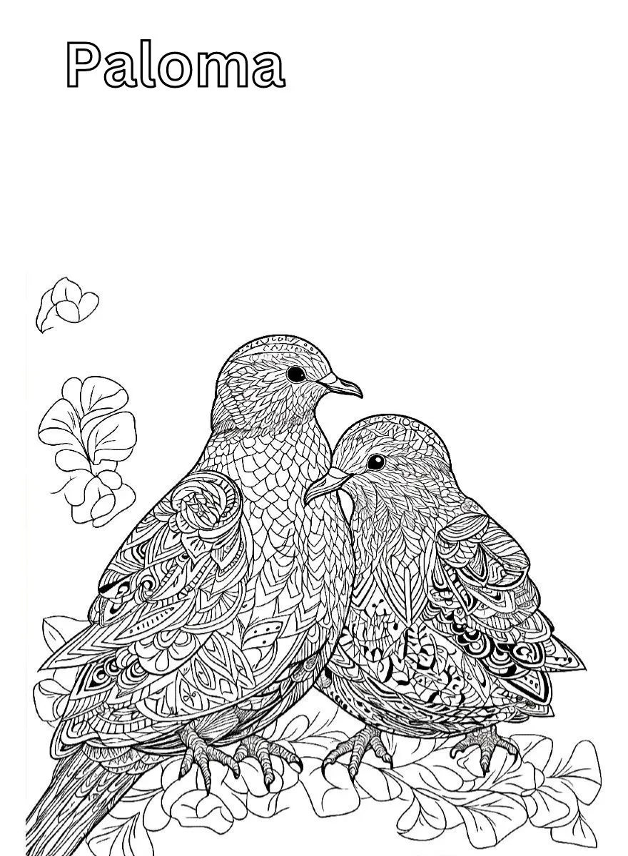 Dibujos para colorear e imprimir Dove