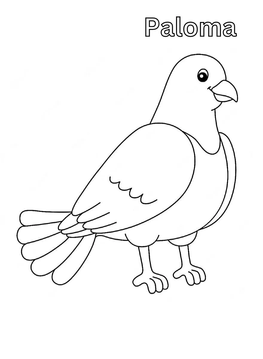 Dibujos para colorear e imprimir Dove