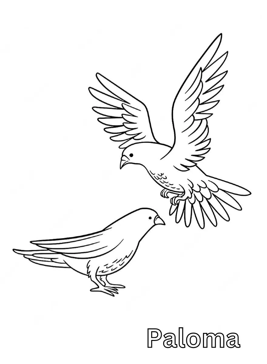 Dibujos para colorear e imprimir Dove