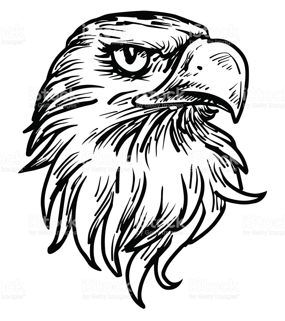 Dibujos para colorear e imprimir Eagles