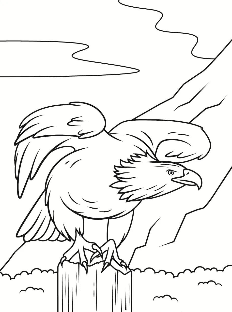 Dibujos para colorear e imprimir Eagles