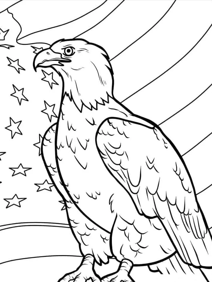 Dibujos para colorear e imprimir Eagles