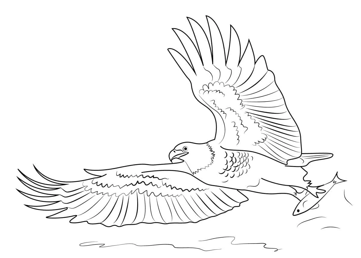 Dibujos para colorear e imprimir Eagles