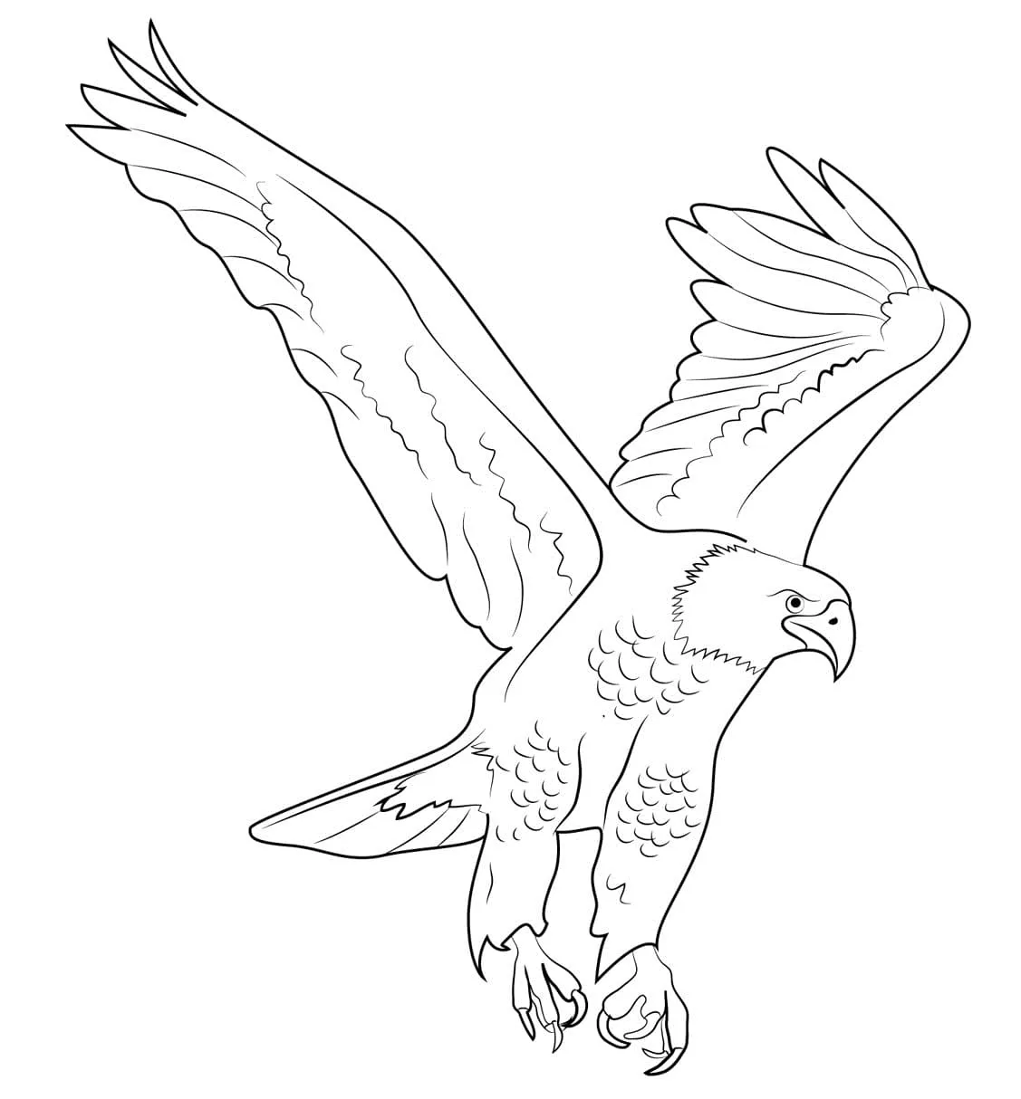 Dibujos para colorear e imprimir Eagles