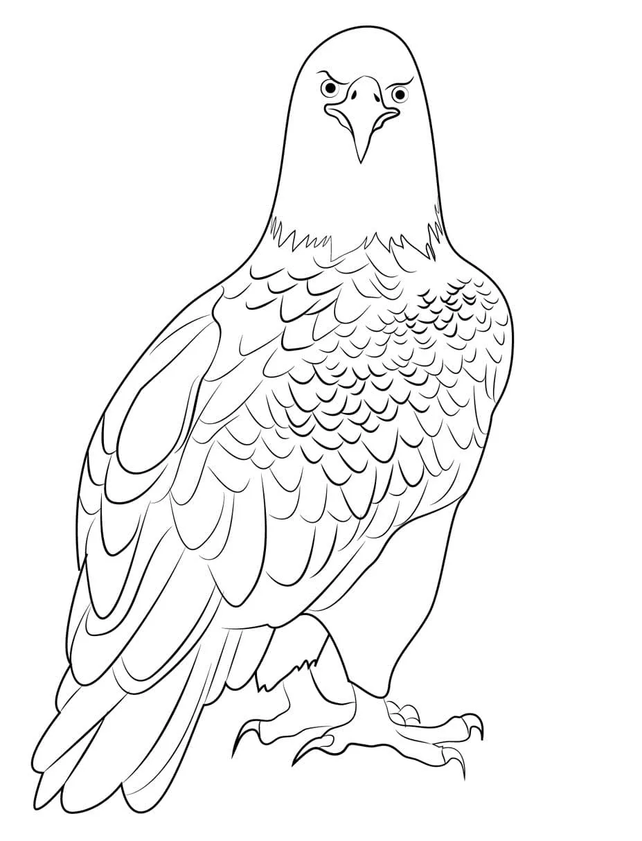 Dibujos para colorear e imprimir Eagles