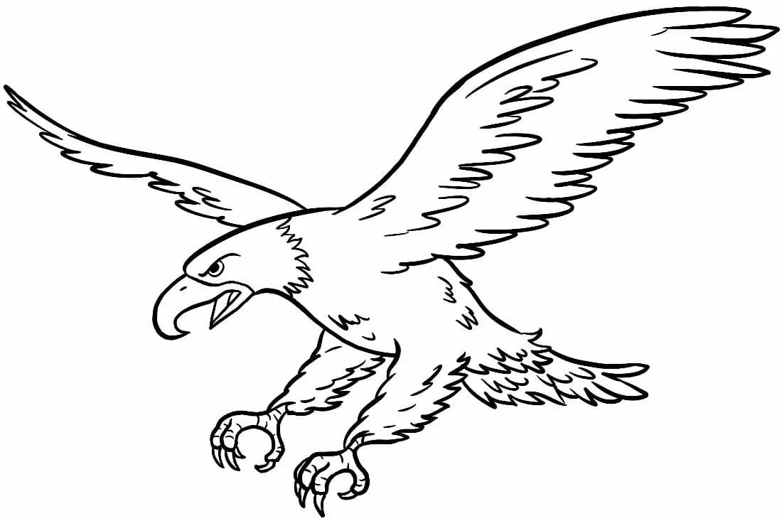 Dibujos para colorear e imprimir Eagles