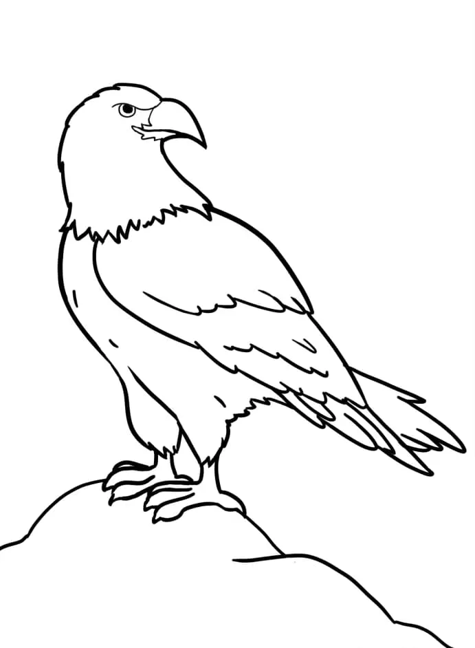 Dibujos para colorear e imprimir Eagles