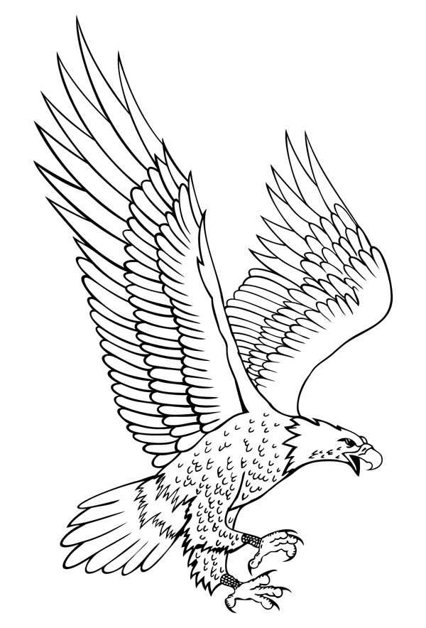 Dibujos para colorear e imprimir Eagles